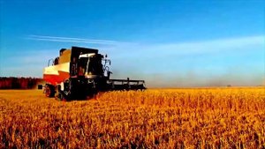 Ишимский РДК "Как хлеборобам эту землю не любить"