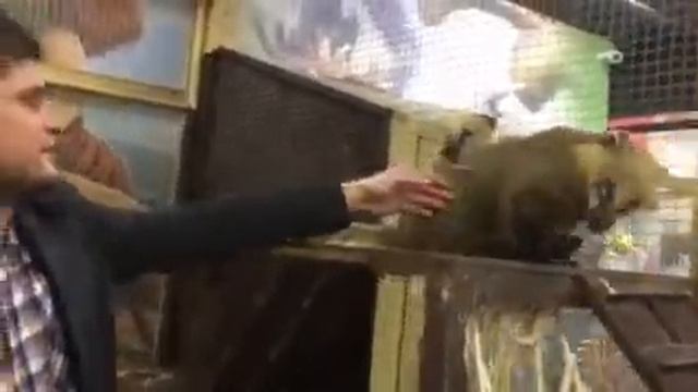 26 сентября 2016 г. смотреть онлайн