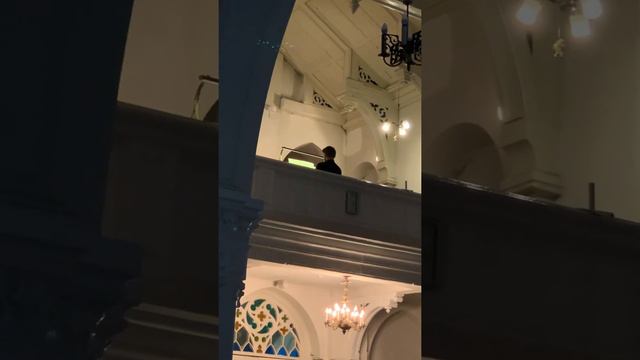 И.С. Бах Антонио Вивальди. Концерт ре-минор 2 часть BWV 596.