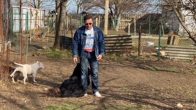 Февраль 2024 года - Новости питомника собак РашенДог (RussianDog)