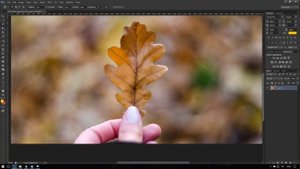 Как изменить фон в Photoshop? Выделяем объект, переносим новый фон на вырезанный объект в Фотошопе