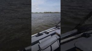 Первый выезд на RiverBoats 410 с SUZUKI DF20AES