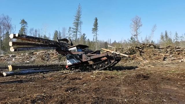 Весенний день в тайге и лесовозы на вывозе хлыстов! смотреть онлайн
