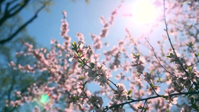 Об исцелении болящего. Болезнь - это посещение БОЖИЕ. Болезнь души. Старец Порфирий Кавсокаливит.