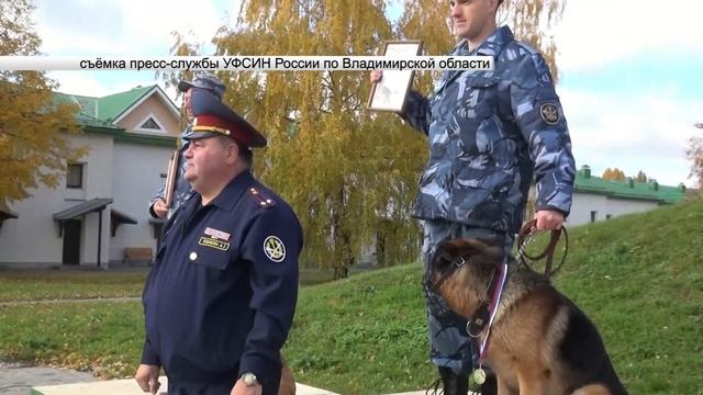 Итоги чемпионата УФСИН по многоборью кинологов смотреть онлайн
