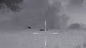 irey riko rl42 в деле