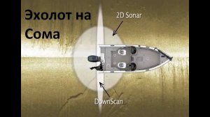Эхолот на сома.