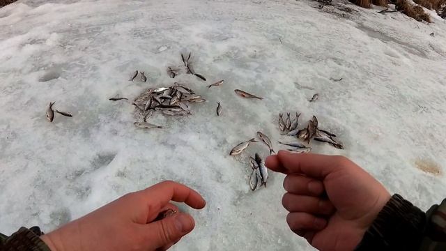 Рыбалка на оз. Валенторское, р. Войм. Сорога. Окунь