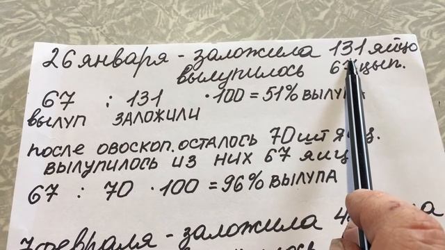 Как высчитать процент вылупления яиц.