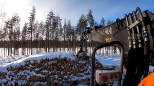 Лесовозы и неудобная погрузка
