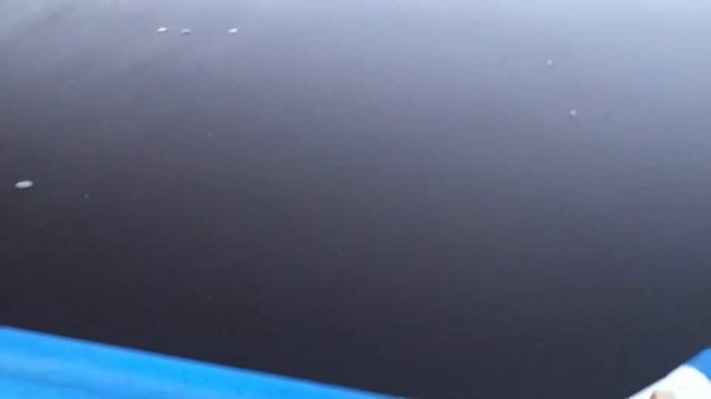 Бассейн Торфяная вода рекомендации по очистке воды убрать цветность