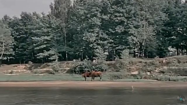 Песню называют шедевром русской лирики...