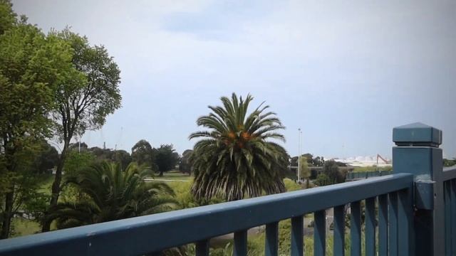 TRAVEL VLOG TIMARU NEW ZEALAND смотреть онлайн