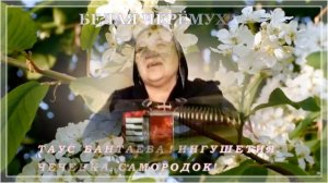 БЕЛАЯ ЧЕРЁМУХА   ТАУС БАНТАЕВА! ИНГУШЕТИЯ  ЧЕЧЕНКА  САМОРОДОК!