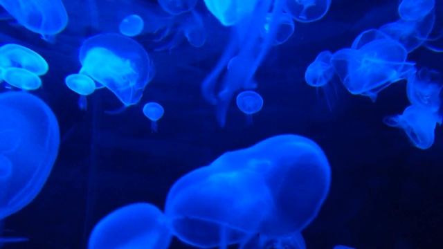 best relaxation music for sleep смотреть онлайн