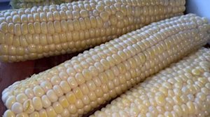 КУКУРУЗА НА МАНГАЛЕ НА ГРИЛЕ