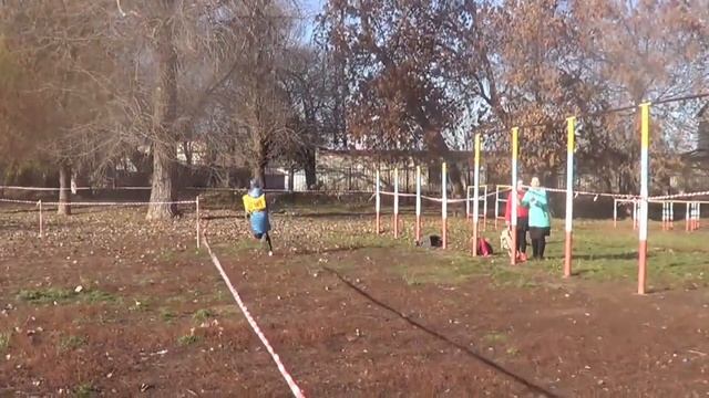 Соревнования в школе № 11 г. Белгорода "Осенняя эстафета" смотреть онлайн