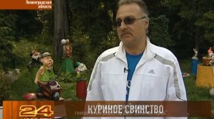 Мёртвые куры