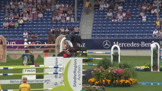 Quintender (webstallions.com) смотреть онлайн