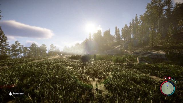 ✅ NUEVA ACTUALIZACIÓN SONS OF THE FOREST NOVIEMBRE NOVEDADES смотреть онлайн