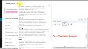 как перевести на русский язык плагин WooCommerce