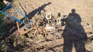 Одноколесный мотоблок в работе. Прополка.