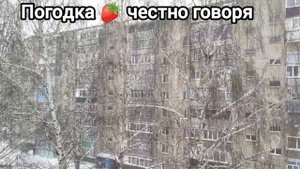 31 декабря