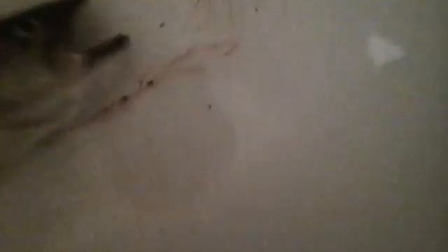 Мальчик 12 ти лет поймал тайменя на 3 кило смотреть онлайн