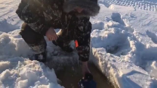 Ловим щуку на жерлицы. Поймал большую щуку, самую большую щуку в своей жизни но это не предел! смотреть онлайн