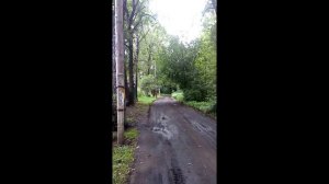 Выпуск 7.В деревне Телятинки.