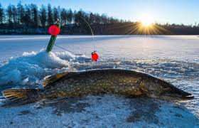 Зимняя рыбалка, ставим на жерлицы окушат на щуку.