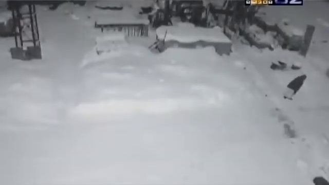 Кража на предприятии