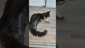 Переезд с Урала на Юг 2024. часть 1.