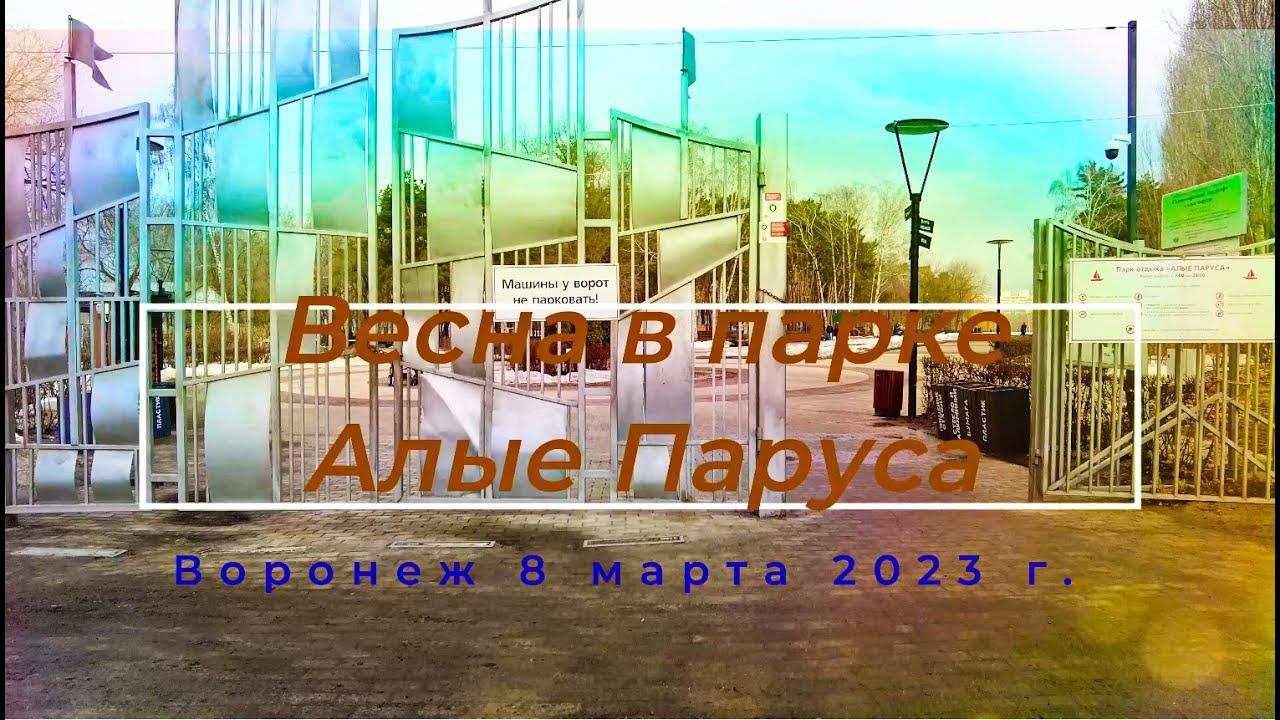 Весна в парке Алые Паруса, Воронеж 8 марта 2023 г. Spring in the Scarlet Sails Park, Voronezh.
