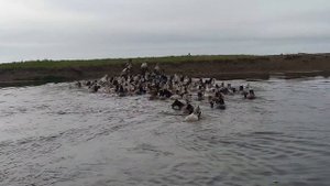 Приморский край с.Амгу