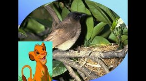 великий круговорот жизни 3 класс презентация