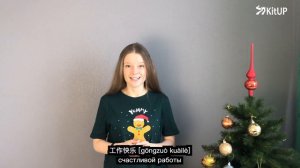 С Новым годом по-китайски! 新年快乐!