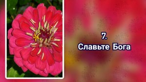 Гимны надежды 7 Славьте Бога (-)