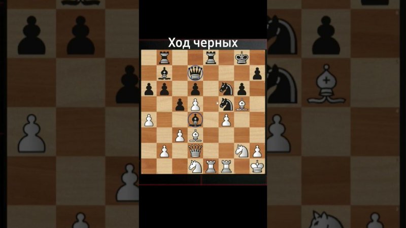 КОГДА КОРОЛЮ ЖОПА  #шахматы #тактика #задачки #shorts  #chess