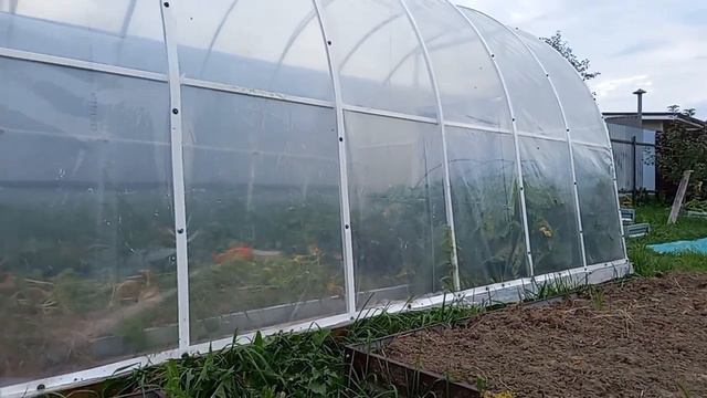 #Дача , Посадка первоцветов #иринамалахитнадаче смотреть онлайн