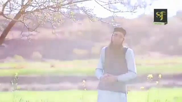 Manqabat Hazrat Abubakar Siddique RZ|Q.Waqas Wasfi| SF Nasheed. смотреть онлайн