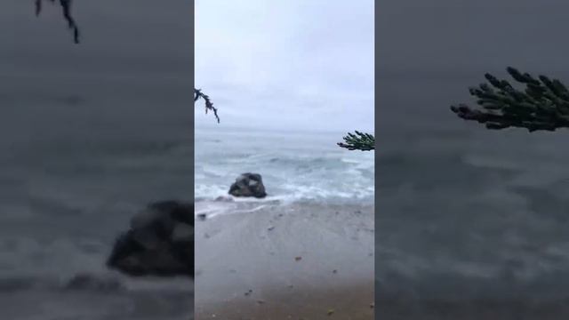 Cambria, California | Keeping the Kids Busy @ the beach смотреть онлайн