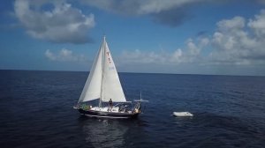 NEW Sailboat Owner's 1st year FULLTIME Sailing the Caribbean