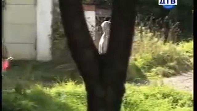 ВНЕ ЗАКОНА КРИМИНАЛЬНЫЕ ХРОНИКИ смотреть онлайн