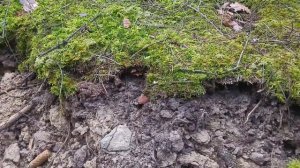 Земля это выработаный карьер! Ещё раз в этом убеждаемся!!!