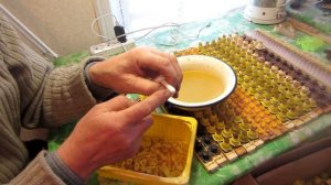 КАК ПОЧИСТИТЬ ПЛАСТИКОВЫЕ МИСОЧКИ ДЛЯ ВЫВОДА МАТОК, СРАВНЕНИЕ МИСОЧЕК + и -