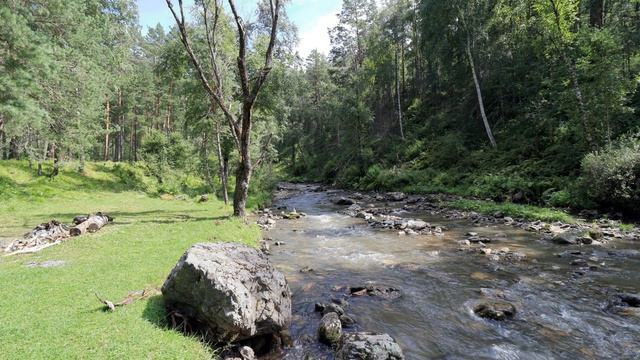 Relaxing and sleeping sounds of nature. Расслабляющие и усыпляющие звуки природы. смотреть онлайн
