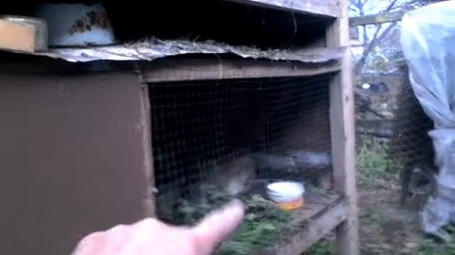 Самостоятельное строительство клетки для кроликов( двухъярусная-часть 1)