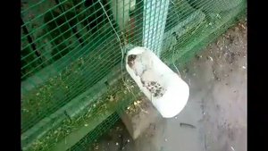 НОВЫЙ лайфхаки для курятник: удобные поилки