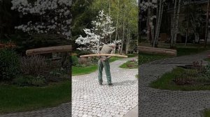 вращение оглобля/шест/бревно